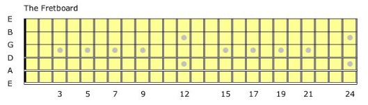 The Guitar Fretboard | Self Taught Guitar Lessons